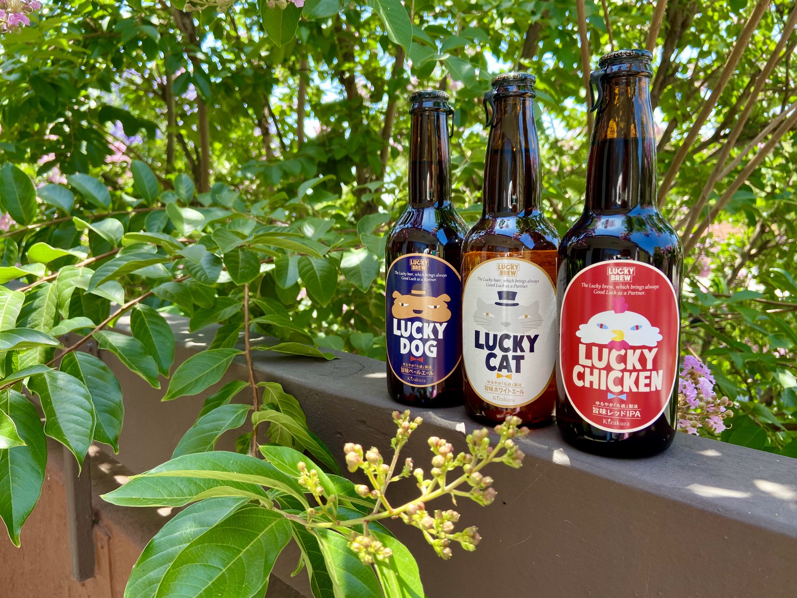 Sake Splash: Lucky Brew Series